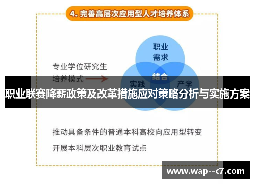 职业联赛降薪政策及改革措施应对策略分析与实施方案