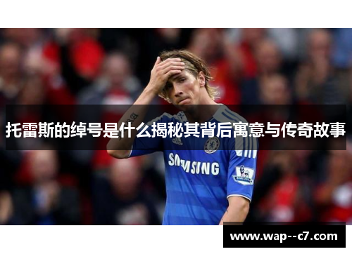 托雷斯的绰号是什么揭秘其背后寓意与传奇故事