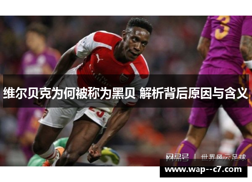 维尔贝克为何被称为黑贝 解析背后原因与含义