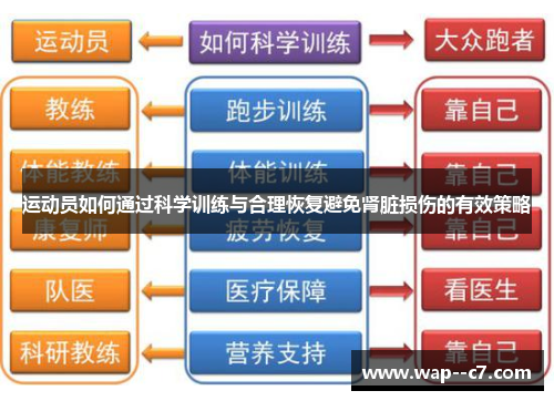 运动员如何通过科学训练与合理恢复避免肾脏损伤的有效策略