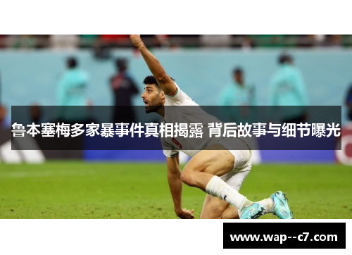 鲁本塞梅多家暴事件真相揭露 背后故事与细节曝光