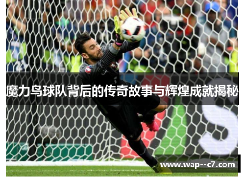 魔力鸟球队背后的传奇故事与辉煌成就揭秘
