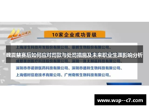 魏震禁赛后如何应对罚款与处罚措施及未来职业生涯影响分析