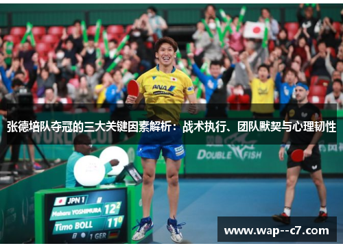 张德培队夺冠的三大关键因素解析：战术执行、团队默契与心理韧性