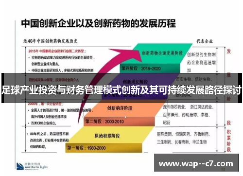 足球产业投资与财务管理模式创新及其可持续发展路径探讨