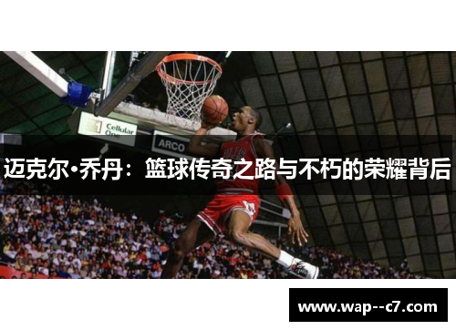 迈克尔·乔丹：篮球传奇之路与不朽的荣耀背后