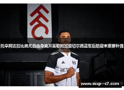 托辛阿达拉比奥尤自由身离开富勒姆加盟切尔西蓝军后防迎来重要补强