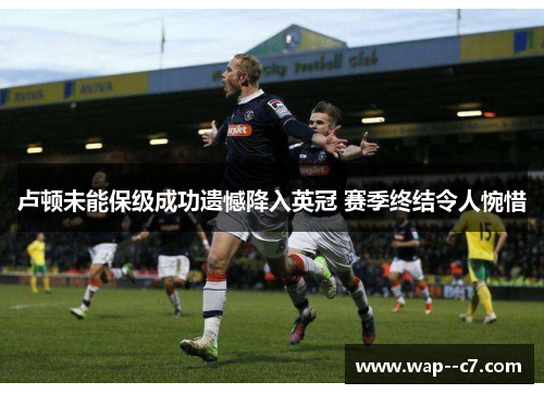 卢顿未能保级成功遗憾降入英冠 赛季终结令人惋惜