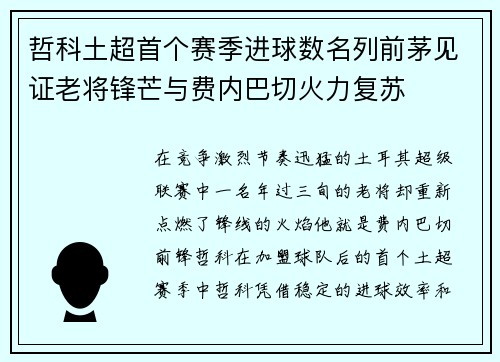 哲科土超首个赛季进球数名列前茅见证老将锋芒与费内巴切火力复苏 哲科土超首个赛季进球数名列前茅见证老将锋芒与费内巴切火力复苏